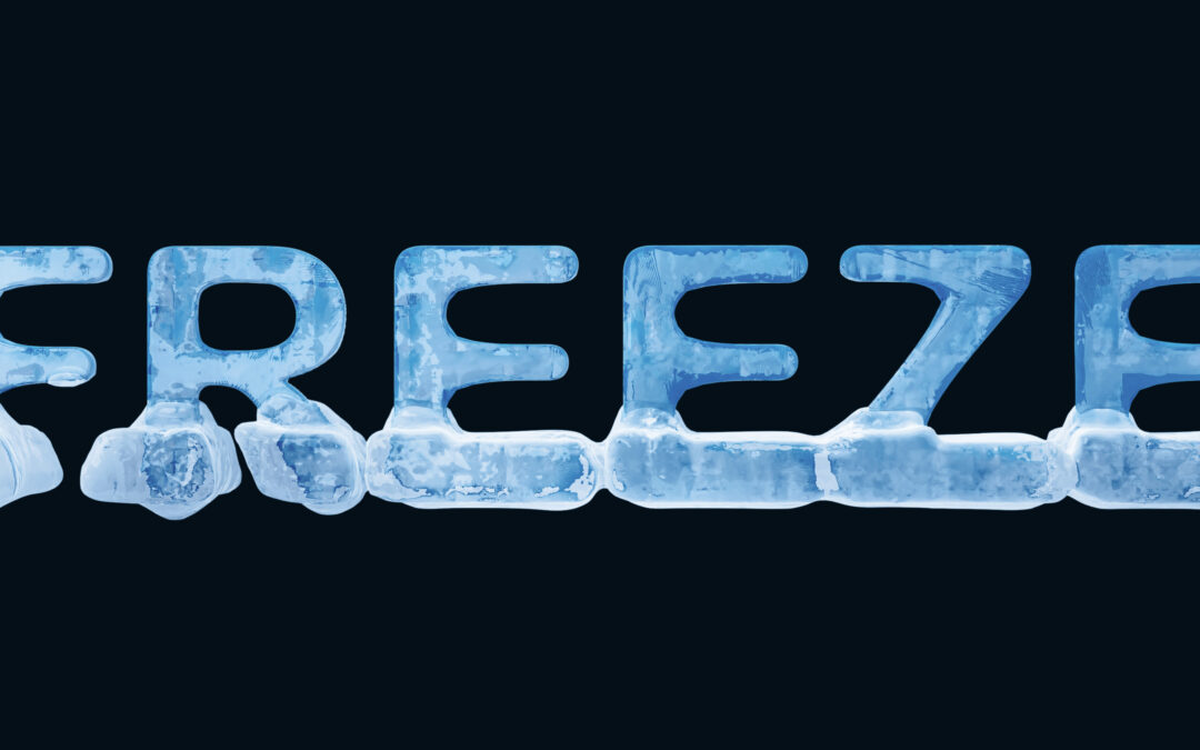Why Do I Freeze When I Feel Overwhelmed? Understanding The Freeze Trauma Response